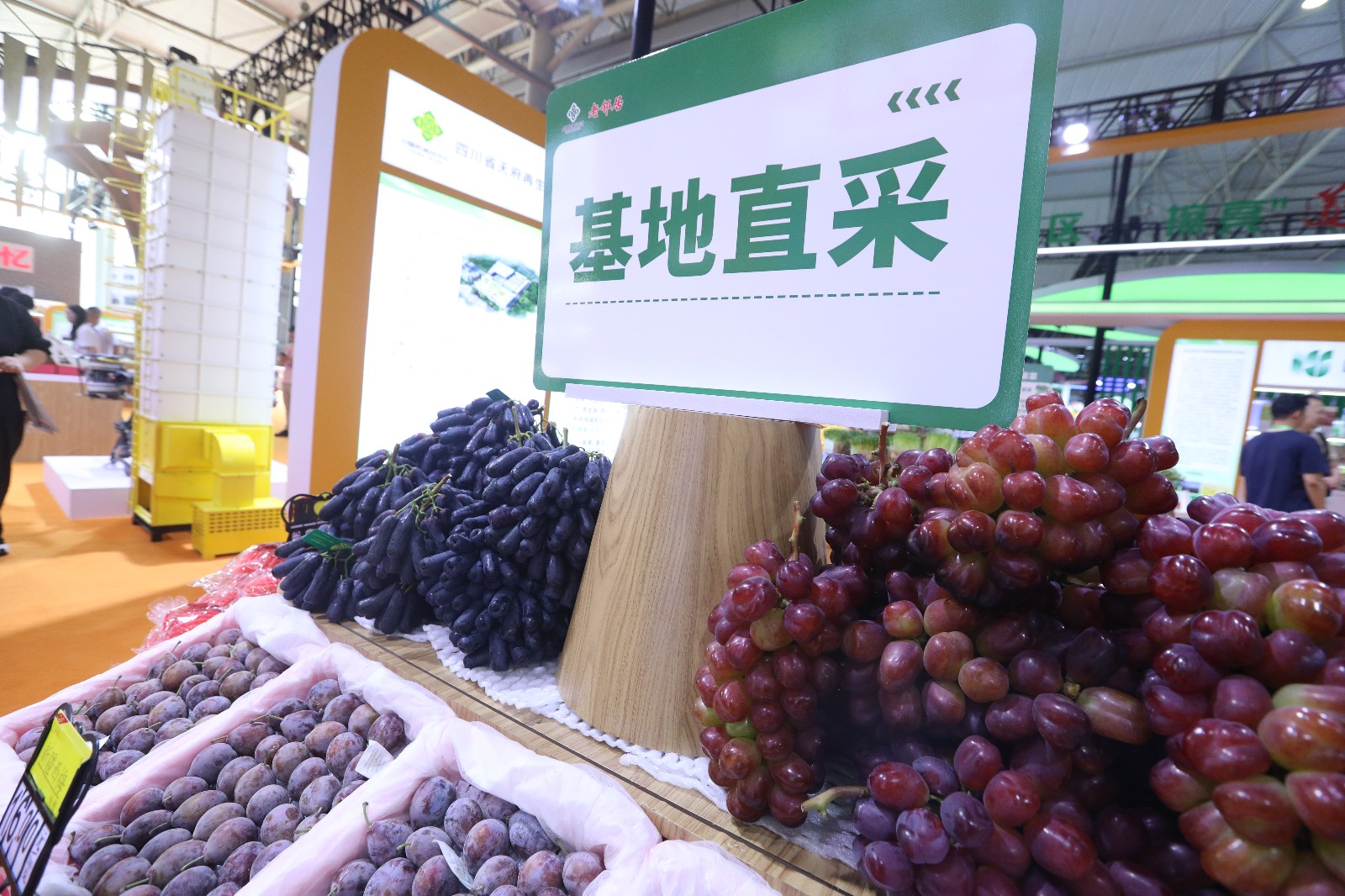 1756955416037023398.jpg 1756955416037023398.jpg