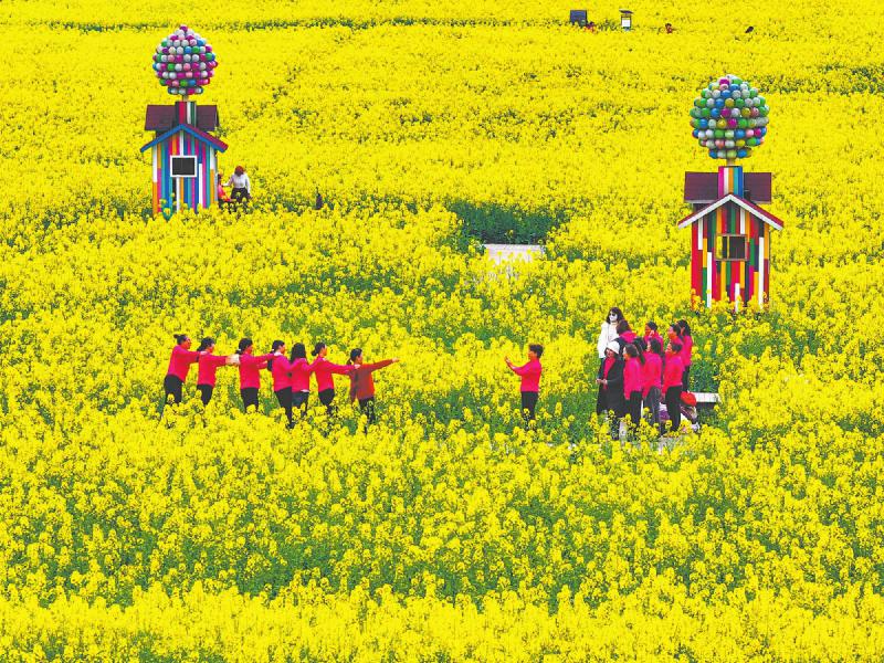 依托“春日经济”激活文旅需求，打出提振消费“组合拳” “花样”雅安这样将春光“变现”「相关图片」