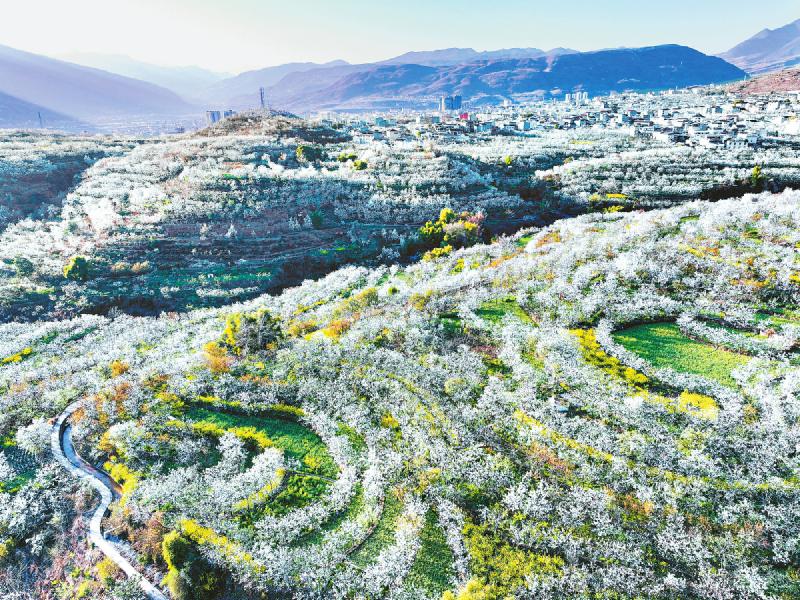 依托“春日经济”激活文旅需求，打出提振消费“组合拳” “花样”雅安这样将春光“变现”「相关图片」
